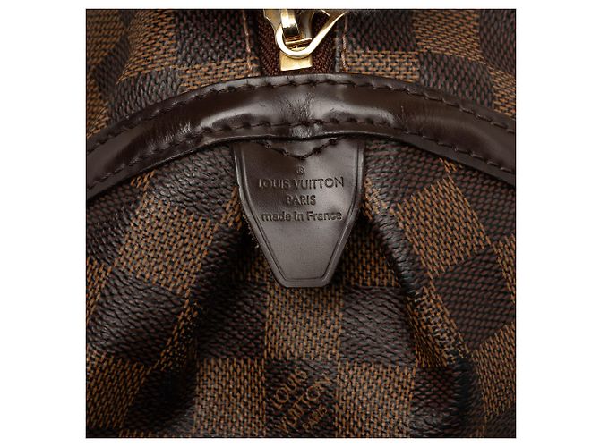 Louis Vuitton Brown Damier Ebene Rivington PM - vista 6