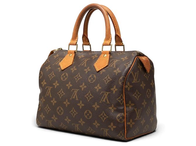 Louis Vuitton Brown Monogram Speedy 25 - vista 2
