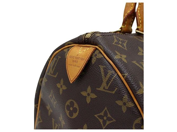 Louis Vuitton Borsa Tote Speedy in tela Monogram - vista 10