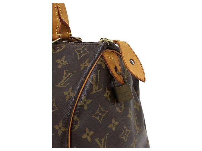 Louis Vuitton Borsa Tote Speedy in tela Monogram - vista 11