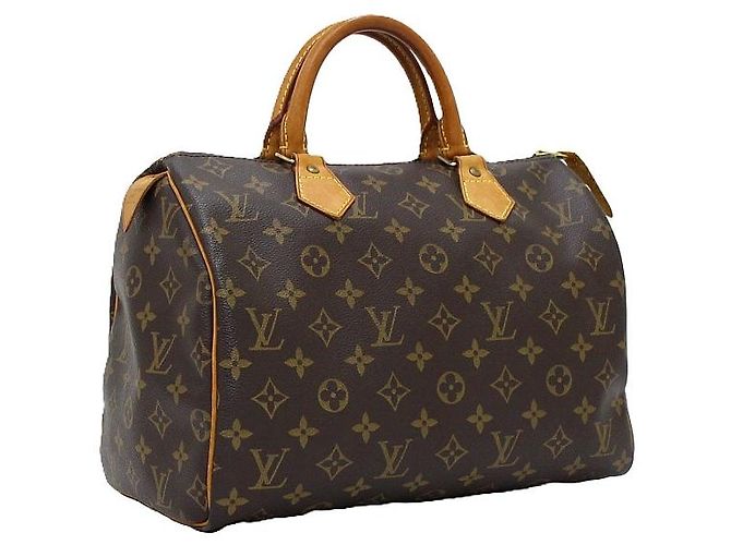 Louis Vuitton Borsa Tote Speedy in tela Monogram - vista 3