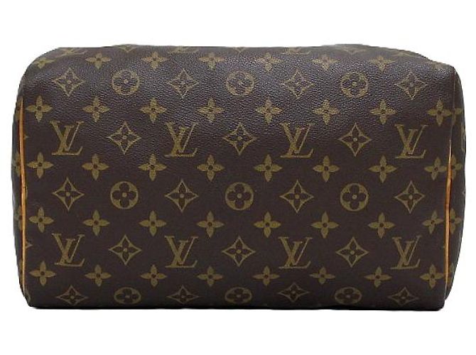 Louis Vuitton Borsa Tote Speedy in tela Monogram - vista 6