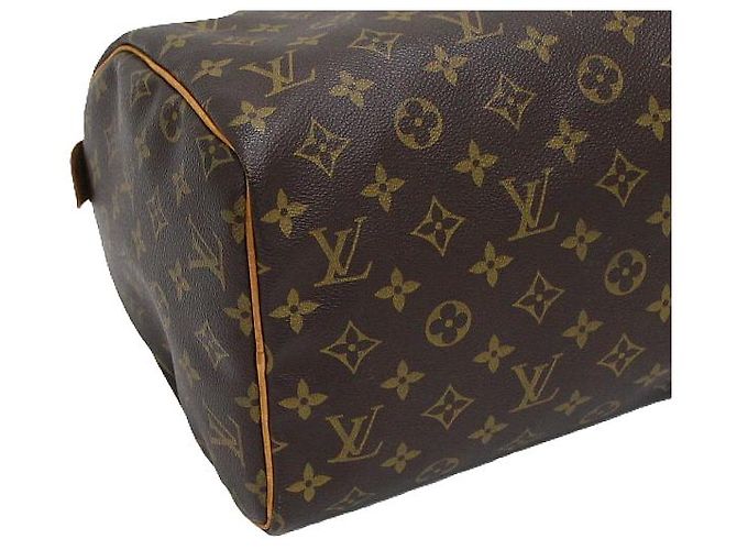 Louis Vuitton Borsa Tote Speedy in tela Monogram - vista 7