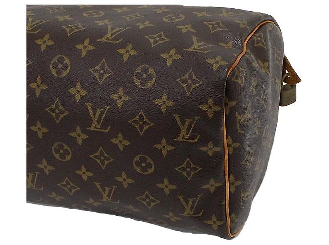 Louis Vuitton Borsa Tote Speedy in tela Monogram - vista 8