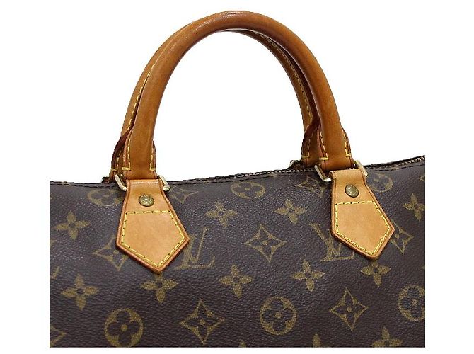 Louis Vuitton Borsa Tote Speedy in tela Monogram - vista 9
