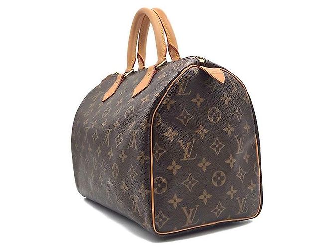 Louis Vuitton Monogram Speedy 30 Azure Blu - vista 2