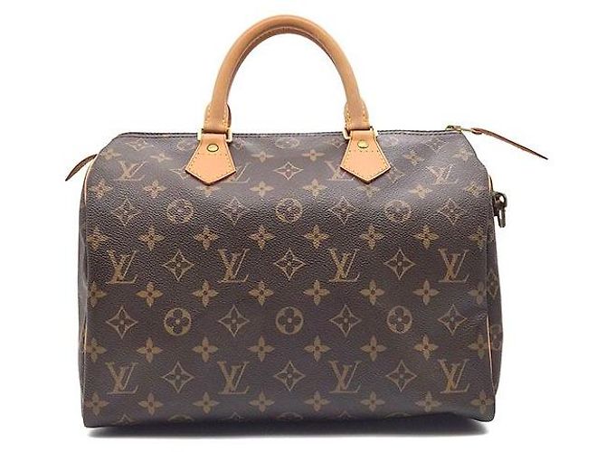 Louis Vuitton Monogram Speedy 30 Azure Blu - vista 3