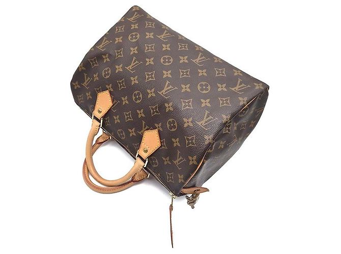 Louis Vuitton Monogram Speedy 30 Azure Blu - vista 4