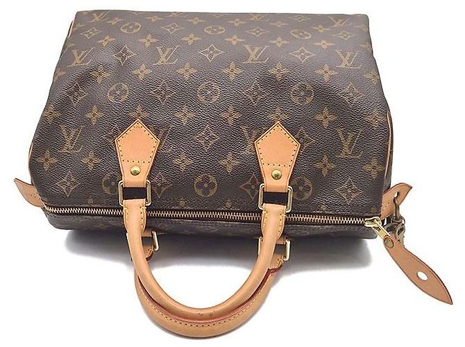 Louis Vuitton Monogram Speedy 30 Azure Blu - vista 6