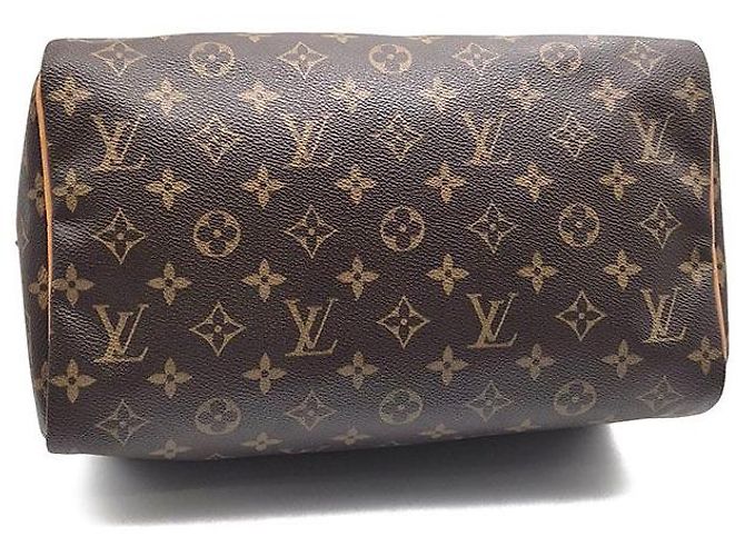 Louis Vuitton Monogram Speedy 30 Azure Blu - vista 7
