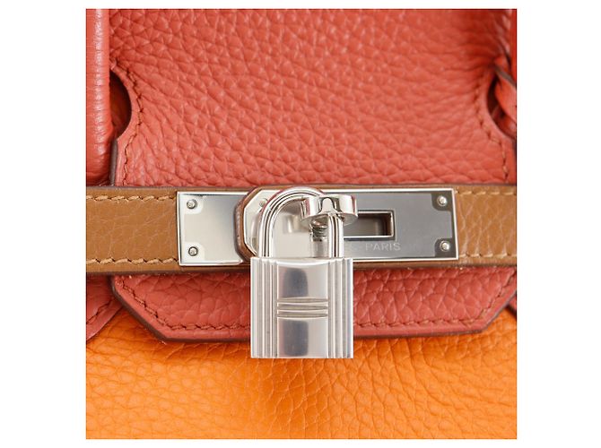 Hermès Borsa Hermes Birkin Harlequin 30 - vista 13