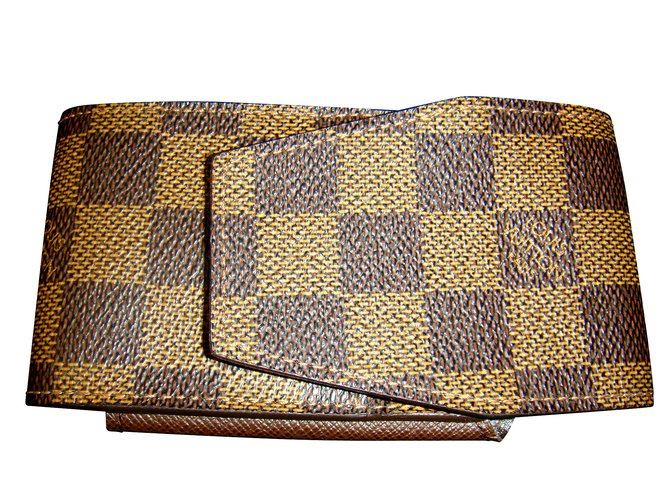 Louis Vuitton Purses, wallets, cases Brown Leather  ref.5612