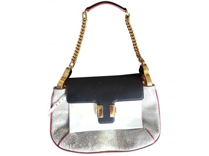 Chloé Handbags Multiple colors Leather  ref.7825