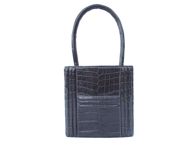 Hermès Handbags Grey Exotic leather  ref.9374