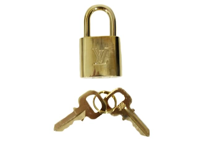 Louis Vuitton Purses, wallets, cases Golden Metal  ref.13690