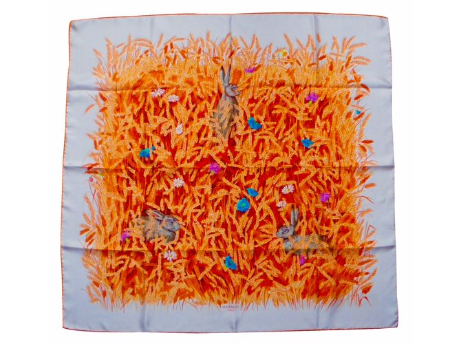 Hermès Sciarpe di seta Multicolore