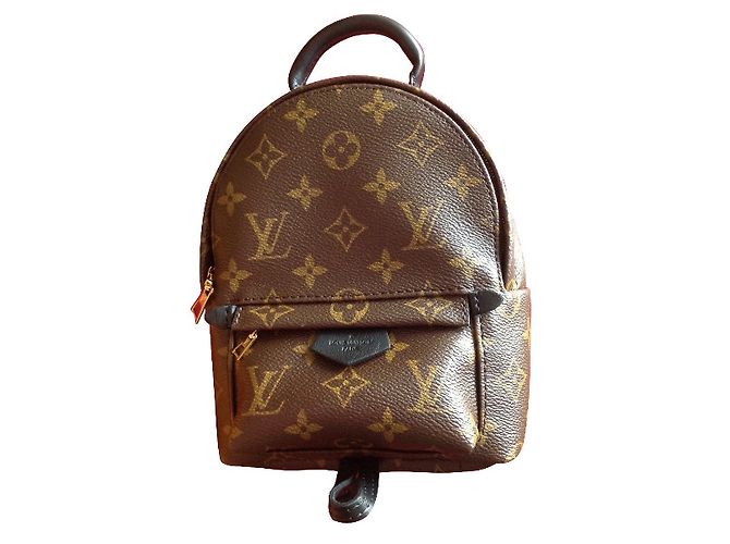 Louis Vuitton Palm Springs mini Marrom
