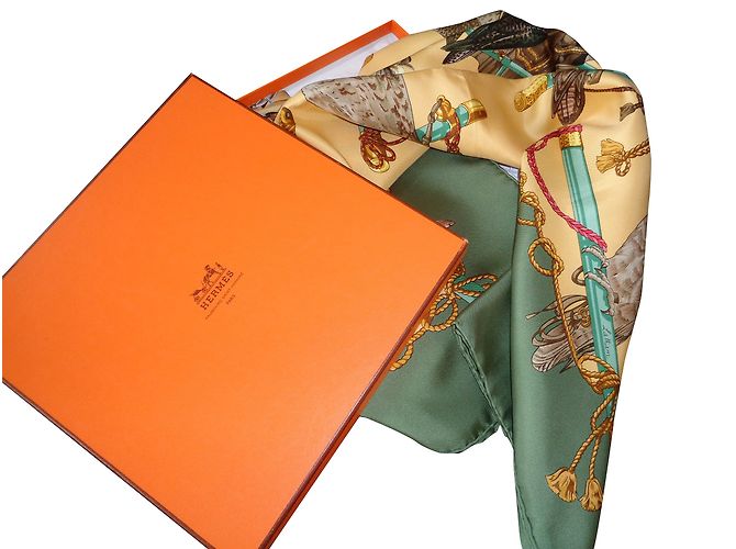 Hermès les oiseaux du roy Multicolore Seta