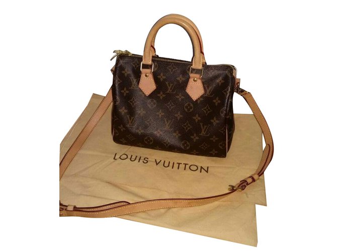 Speedy Louis Vuitton Handbag Brown Cloth ref.40169 - Joli Closet