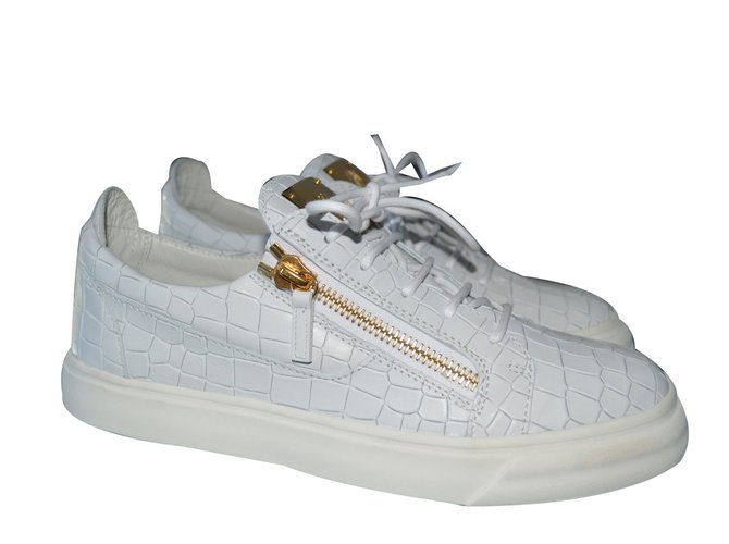 zanotti blanche homme