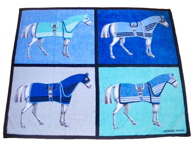 Hermès Trajes de baño Multicolor