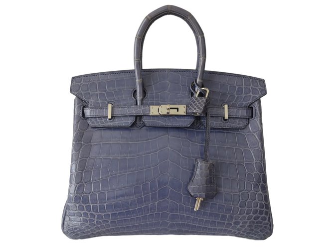 Hermès Birkin 25 Blue Purple Exotic leather  ref.44858