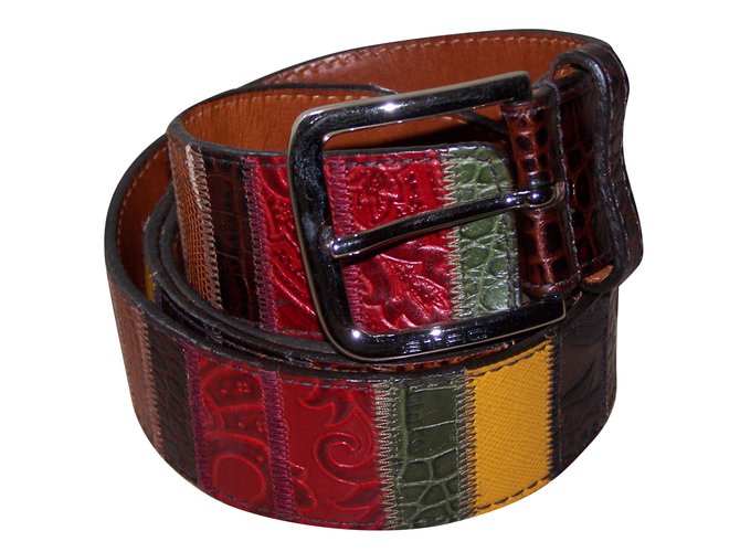 Etro Belt Multiple colors Exotic leather  ref.51269