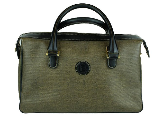 Fendi Handbags Brown Plastic  ref.52999
