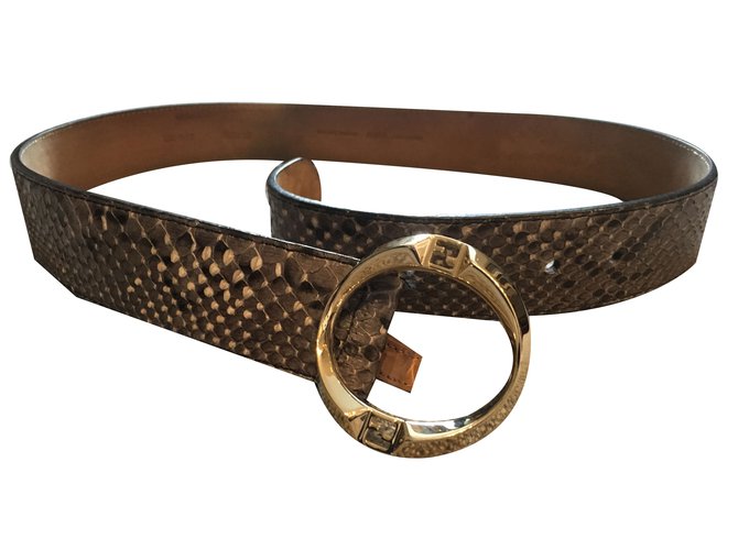Fendi Snakeskin Belt Grey Dark grey Light brown Exotic leather  ref.53116