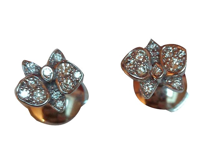 Cartier caresse d'orchidees