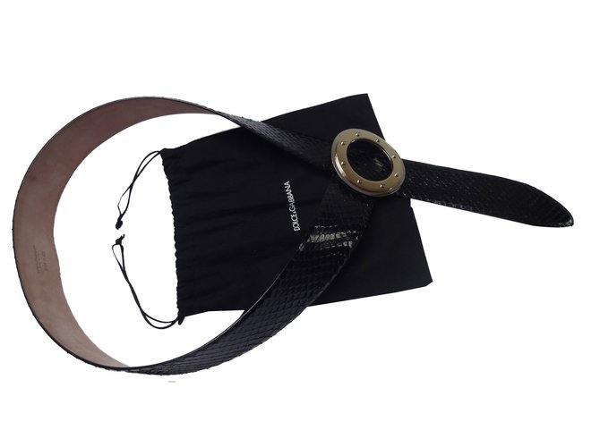 Dolce & Gabbana Cinturones Negro Pitón  ref.58484
