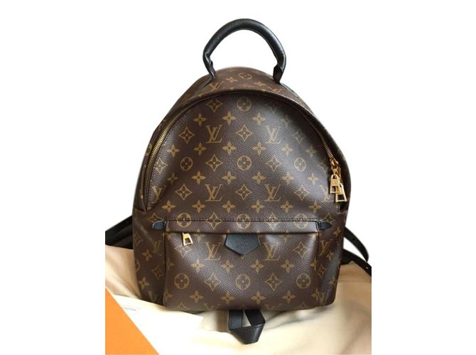 Louis Vuitton Palm springs Backpack Brown  ref.59821