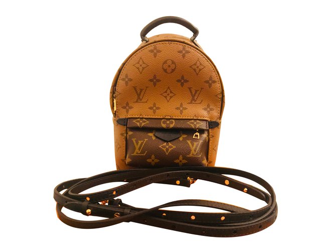 Louis Vuitton, Bags, Palms Spring Backpack Mrev