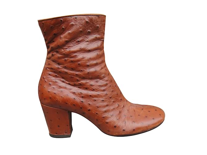 Chie Mihara Ankle Boots Brown Exotic leather  ref.62111
