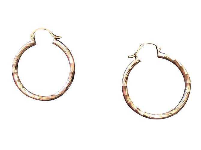Autre Marque Le manège à bijoux Pendientes