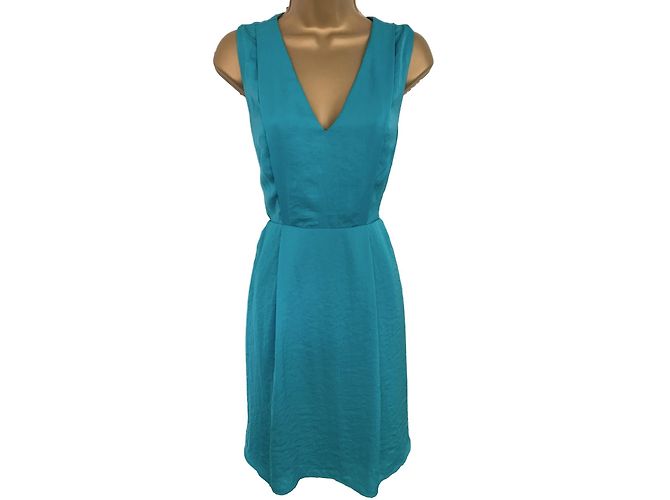 Whistles Dress