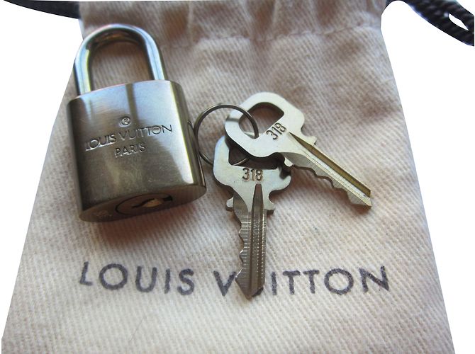 Speedy Louis Vuitton Purses, wallets, cases Copper