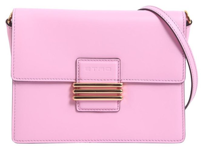 Etro Bag in Pink