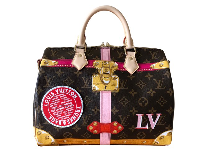 Borsa a tracolla Louis Vuitton Speedy 334339