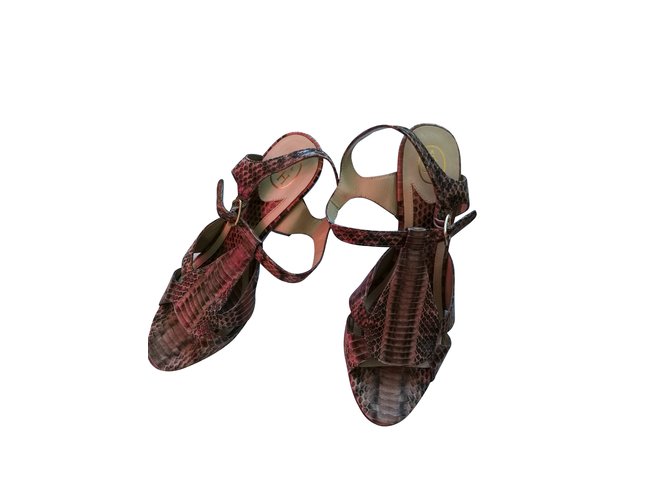 Ash sandals Python print Leather  ref.98901