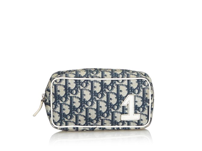 dior trotter pouch