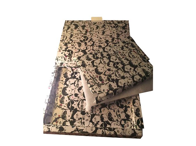 Lanvin IPad protector 1 printed Albert Elbaz pro White