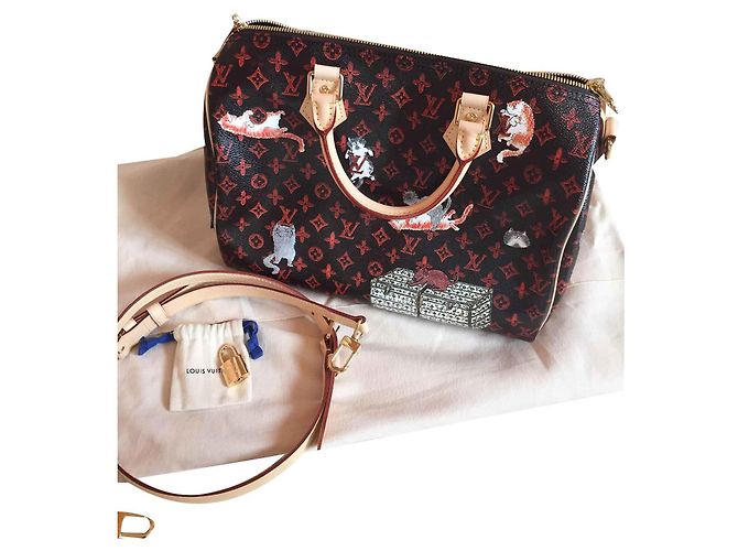 Speedy Louis Vuitton Correa de hombro rápida Multicolor