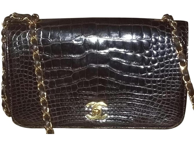 Chanel Bolsos de mano Castaño Cueros exoticos  ref.114504