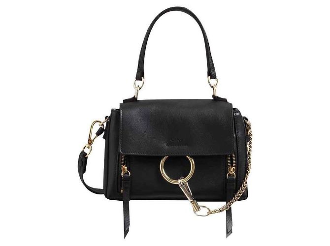 Chloé Mini Faye Day