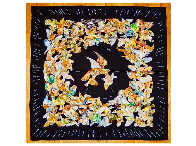 Hermès L'intruso Multicolore Seta