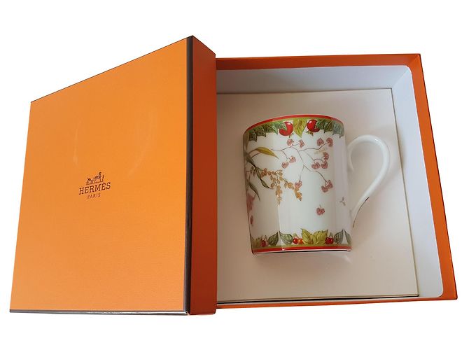 Hermès THE PYTHAGORE GARDEN Multiple colors