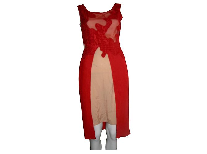 Reiss Kleid mit Spitzenbesatz und Chiffonrock Rot Fleisch