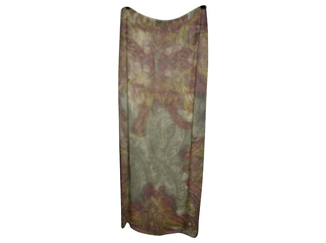 Etro Maxi gonna in chiffon paisley con logo Multicolore
