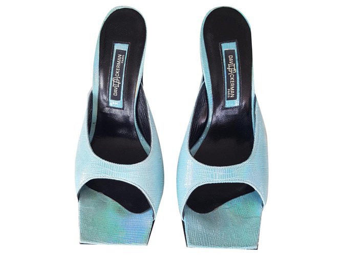 Autre Marque DAVID ACKERMAN Mules with heels and rectangular toe. Turquoise Python  ref.137540